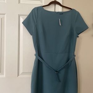 Ann Taylor dress NWT